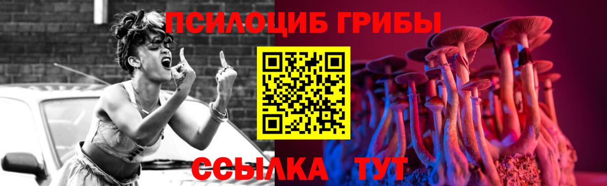 Псилоцибиновые грибы Psilocybine cubensis Протвино
